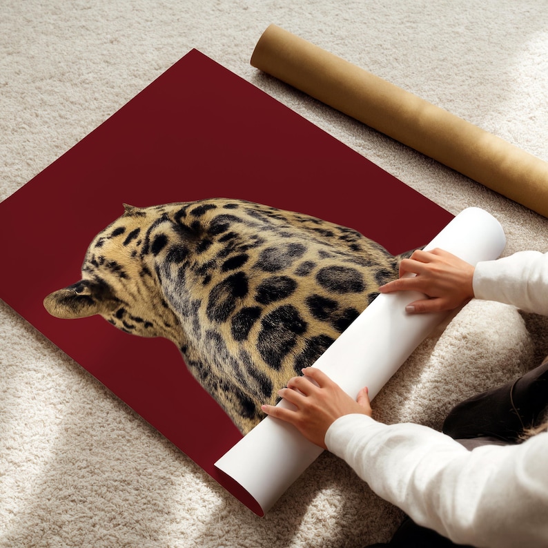 May include: A large, burgundy-colored art print featuring a detailed leopard pattern. The print is partially unrolled, revealing a glimpse of the animal's spotted fur. A rolled-up poster and a white roll of paper are also visible.