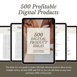 500 MRR PLR Digital Product Ideas | Master Resell Rights eBook, Canva Templates, Passive Income, Digital Marketing for Faceless Instagram