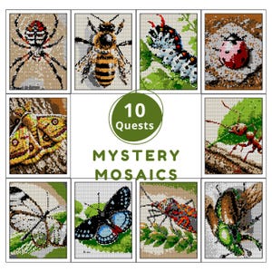 May include: A collection of ten insect-themed mosaic art panels featuring a spider, bee, caterpillar, ladybug, moth, ant, butterfly, and various beetles. The central text reads 10 Quests MYSTERY MOSAICS, presented in a grid layout with detailed pixelated imagery.