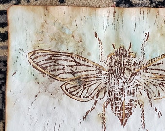 Cicada Wood Block Print on Paper Naturally Dyed with Leaf Prints, 8x5 inches, Insect Locust Entomology, Wildcraft Art by Licia Lucas Pfadt