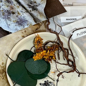DIY Eco Print Natural Bundle Dye Kit for Booklet or Silk Scarf, Make Your Own Art Journal or Bandanna, Arts and Crafts by Licia Lucas Pfadt image 2