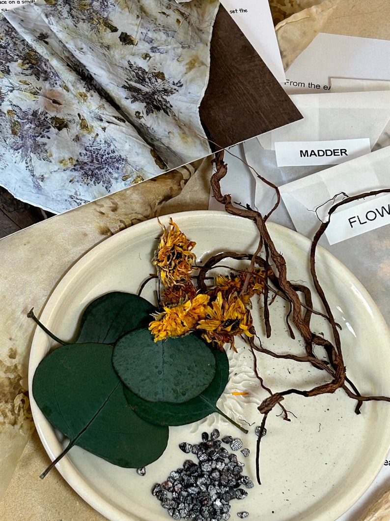 DIY Eco Print Natural Bundle Dye Kit for Booklet or Silk Scarf, Make Your Own Art Journal or Bandanna, Arts and Crafts by Licia Lucas Pfadt image 2