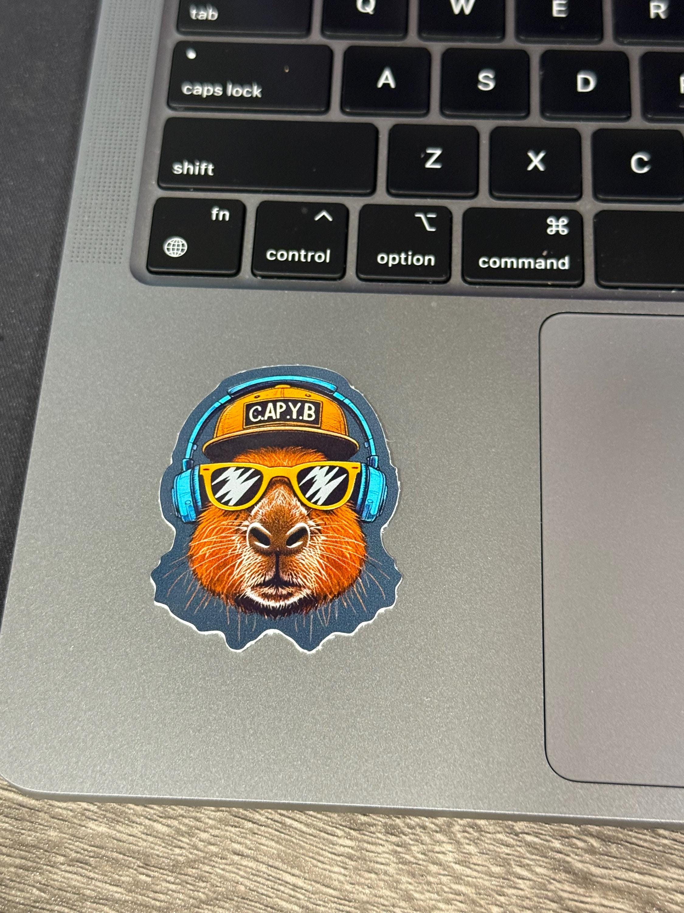 Capix Sticker Capybara Sticker: Capy B in Hat, Headphones & Sunglasses - Etsy