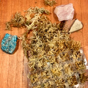 Plastic Moss Pole