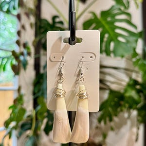 Buffalo Tooth Earrings