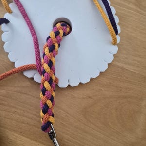 Dog Leash Tutorial PDF and Video | 8 Strand Kumihimo Braid Pattern (Digital Download)