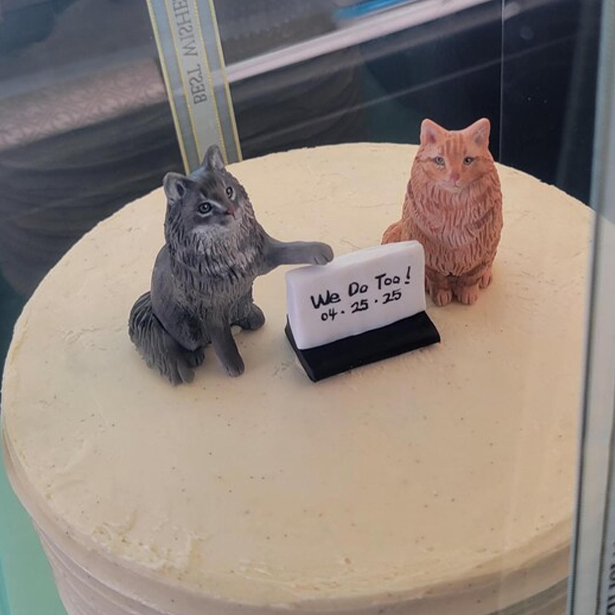 Personalized custom cat wedding cake toppers, pet cake toppers, pet birthdays, dog statues, anniversary pets, cat statues, cat birthdays