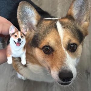 Personalized Custom Pet Dogs, Pet Clay Sculptures, Wedding Cake Decorations, Pet Birthday, Pet Decorations, Cake Decorations, Dog Statues