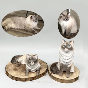 Custom Pet Cake Toppers,Personalized cat wedding cake toppers,Anniversary gift,Pet Birthday gifts,Cat memorial,Dog Statues,Custom bobblehead