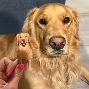 Personalized Custom Dog Wedding Cake Topper，Dog Cake Topper,Cat Cake Topper,Dog figurine,Dog statues,Pet Anniversary Gift,Pets Birthday
