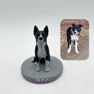 Personalized Custom Dog Wedding Cake Topper , Pet Cake Topper，Pets Birthday，Cat Cake Topper , Anniversary Pet，Dog Figurines，Dogs Birthday