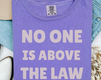 No One Is Above the Law Shirt: Comfort Colors Political Tee
