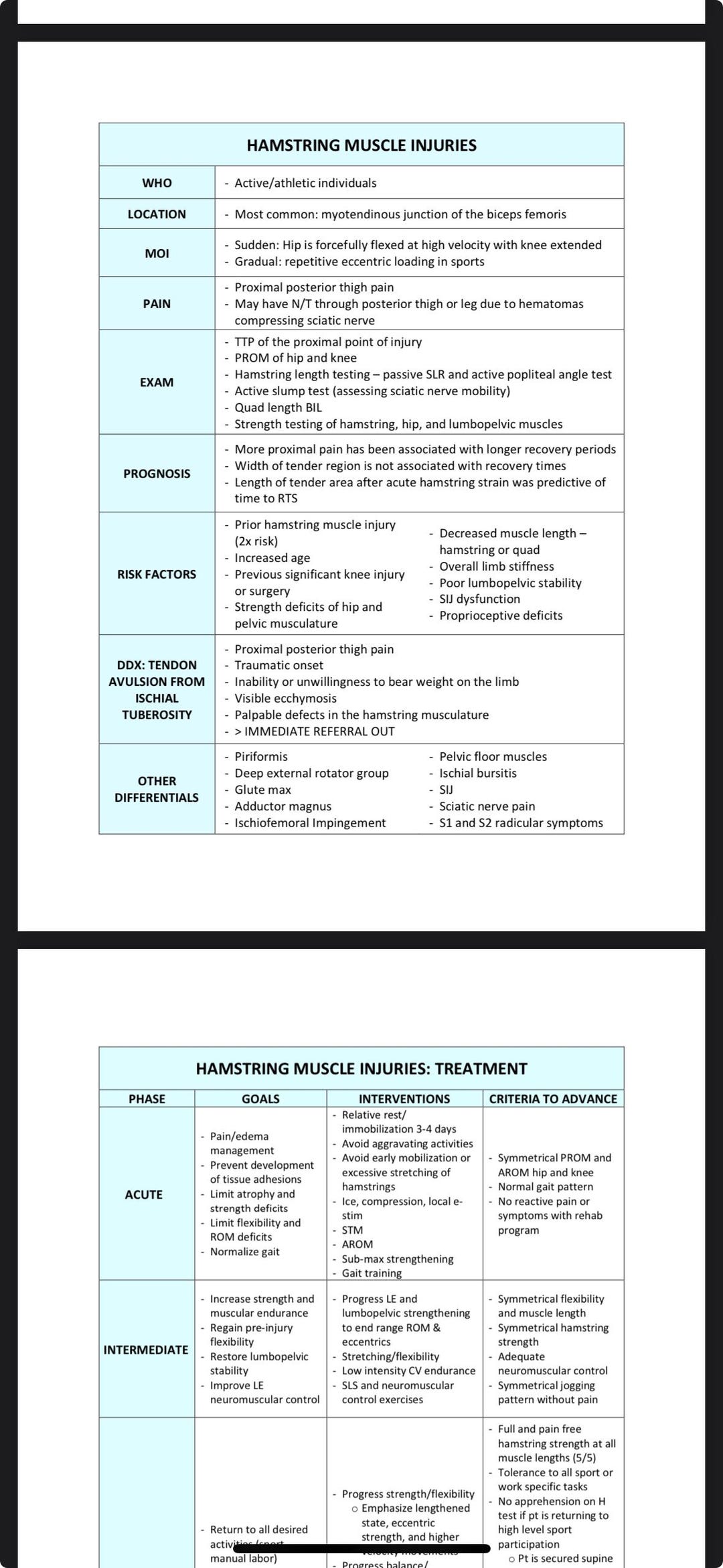 OCS - Hip Study Guide - Etsy