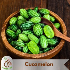 May include: A wooden bowl filled with cucamelons, small, oval-shaped fruits with a green and white striped pattern. A wooden spoon rests in the bowl. The text "Cucamelon" is displayed on a white banner.