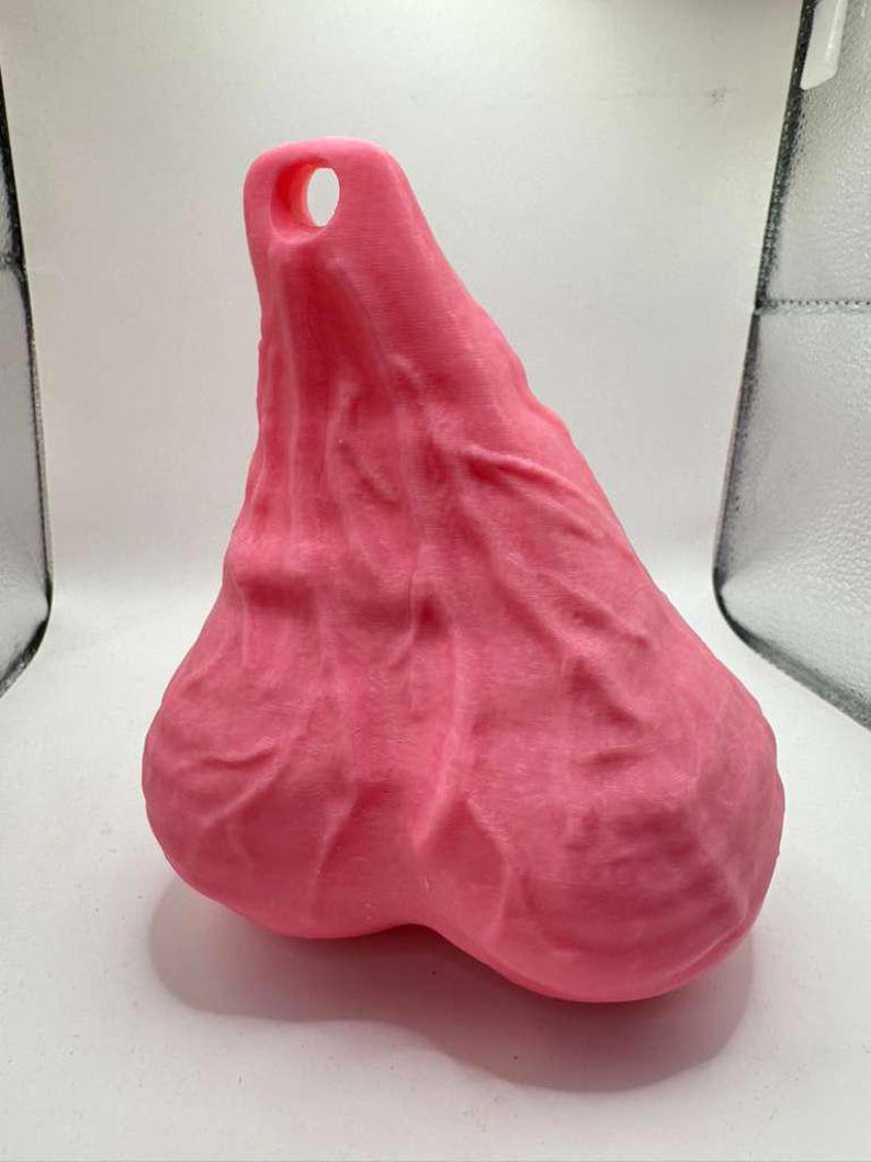 May include: A pink, textured, anatomical sculpture of a scrotum with a prominent vein pattern and a circular hole at the top. The object has a matte finish and a distinct, irregular shape with two rounded lobes at the base, rendered in a solid color.