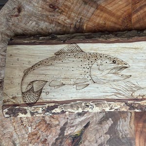 Wall Art woodburning of a Trout