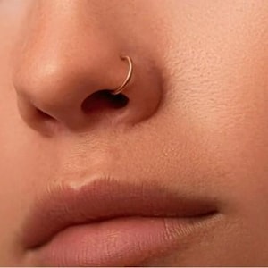 SALE, 14kt Gold Filled Fake Piercing Nose Ring, Ear Cartilage, Kind Gifts Jewelry