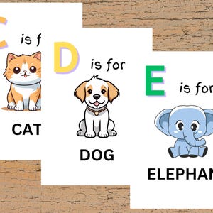 Cartões ABC Flash Versão Animal, Cartões A-Z, Aprenda ABC, Cartões de alfabeto, Alfabeto de cores do arco-íris para crianças, Cartões educacionais, DOWNLOAD DIGITAL