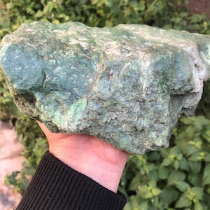 May include: A large, roughly shaped rock with a mottled green surface. The stone is held in a hand, showcasing its irregular shape and texture. The background features green foliage.