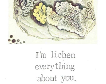 I'm Lichen Everything About You Card | Funny Valentine Vintage Nature Pun Plants Outdoors Nerdy Humor Science Spring Eco Men Women