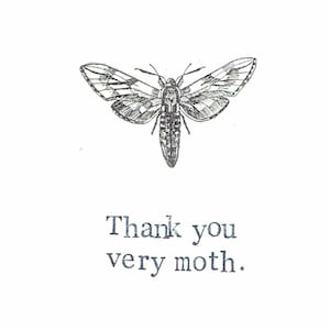 Merci très papillon | Carte de remerciement amusante Carte de remerciement scientifique gothique avec humour insecte
