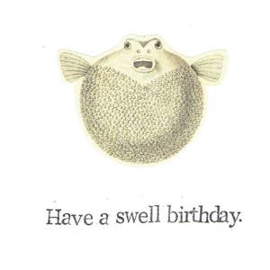 Carte d'anniversaire de poisson-globe de <br> Vous avez des idées ? Funny Blowfish Biologie Marine Pêche Bizarreries Humour Ringard Jeu de mots