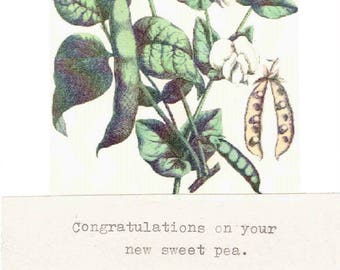 Congratulations On Your New Sweet Pea Baby Congratulations Card | Expecting Parents New Mom New Dad Newborn Vintage Baby Shower Card