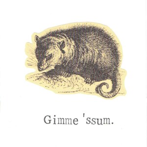 Carte Gimme 'Ssum Opossum | Carte vintage drôle de jeu de mots pour la Saint-Valentin avec humour sauvage et drôle de jeu de mots