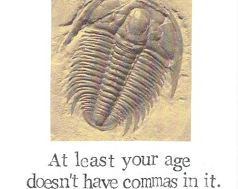 At Least Your Age Doesn't Have Commas Trilobite Fossil Birthday Card | Science Natural History Paleontology Prehistoric Old Men Women