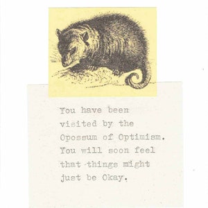 Opossum d'opossum drôle d'optimisme carte de vœux | Carte d'encouragement amusant en pensant à vous