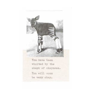 Okapi de carte de vœux | Carte de rétablissement amusante Carte Vous pensez à vous avec humour animal étrange