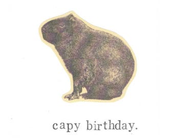 May include: A greeting card featuring a cartoon capybara and the text "capy birthday."