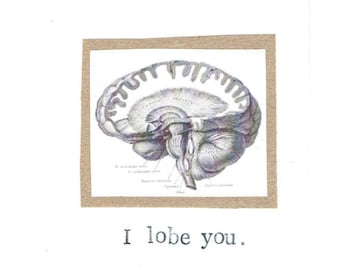 I Lobe You Card | Funny Valentine Brain Anatomy Science Pun Nerdy Geeky Psychology Medical Humor Love For Him Doctor Nurse