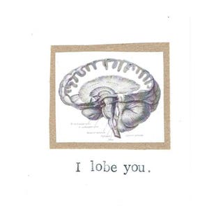 I Lobe You Card Funny Valentine Brain Anatomy Science Pun Nerdy Geeky Psychology Medical Humor Love For Him Doctor Nurse image 1