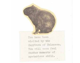 May include: A black and white image of a capybara with the text "You have been visited by the Capybara of Calmness. You will soon feel random moments of mysterious chill."
