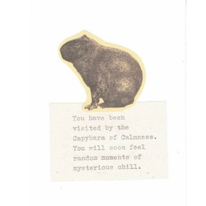 Capybara Of Calmness Card | Funny Encouragement Keep Calm And Carry On Thinking Of You