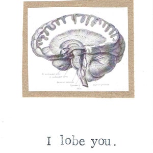 I Lobe You Card Funny Valentine Brain Anatomy Science Pun Nerdy Geeky Psychology Medical Humor Love For Him Doctor Nurse image 2