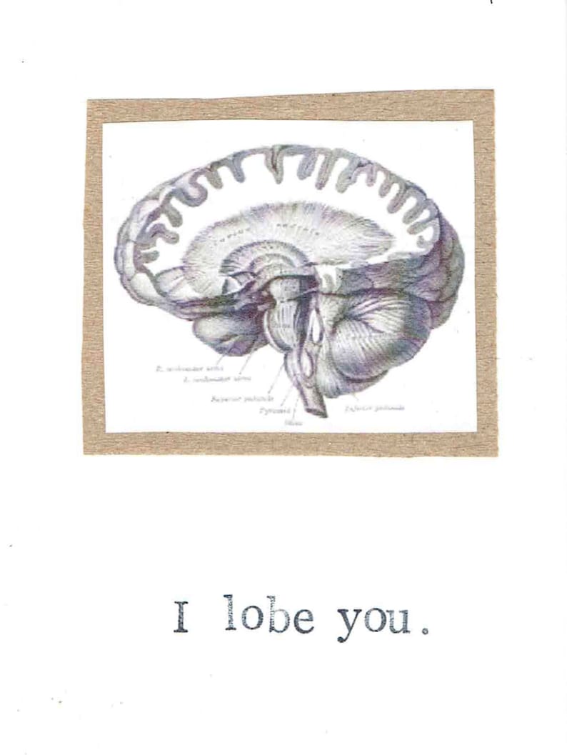 I Lobe You Card Funny Valentine Brain Anatomy Science Pun Nerdy Geeky Psychology Medical Humor Love For Him Doctor Nurse image 2