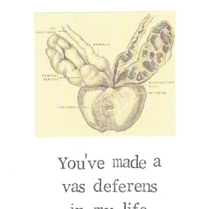 Un canal déférent dans ma vie |  Anatomie masculine drôle, humour médical, science, vasectomie, mari, saint-valentin, homme, pour lui