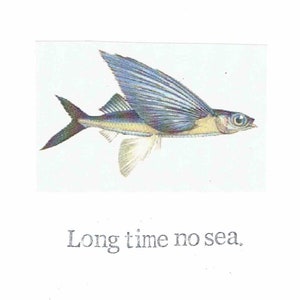 Poissons volants de longue date aucune carte de Zazzle.be Liste d'envies Vous avez des idées ? Drôle Vous me manquez Restez en contact Voyage Pêche Humour Bizarre