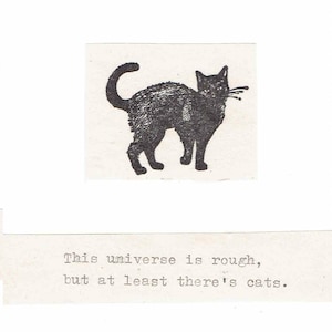 Au moins il y a des chats drôles guérissent bientôt carte de Zazzle.be Liste d'envies Vous avez des idées ? Carte Chat noir qui pense à vous