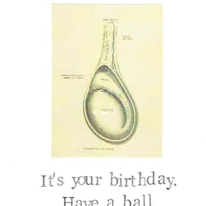Bonne carte d'anniversaire | Drôle Anatomie Médicale Humour Science Ringard jeu de mots Hommes pour lui Docteur Infirmière