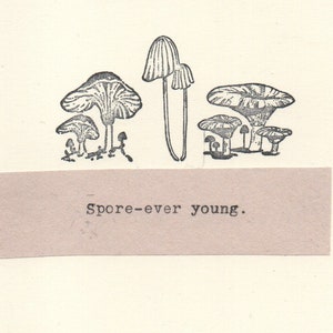 Carte d'anniversaire champignon Ever Young Spore | Carte d'anniversaire nature drôle