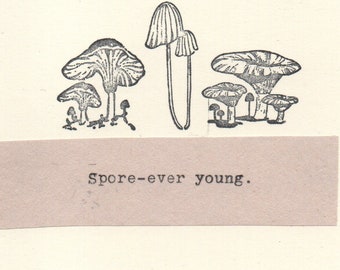 Spore Ever Young Mushroom Birthday Card | Funny Nature Birthday Card