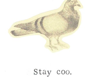 Bleib Coo Taube Karte | Lustiger Vogel Humor Tier Wortspiel