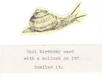 May include: A humorous birthday card featuring a snail illustration and the text "Cool birthday card with a mollusk on it? Snailed it."