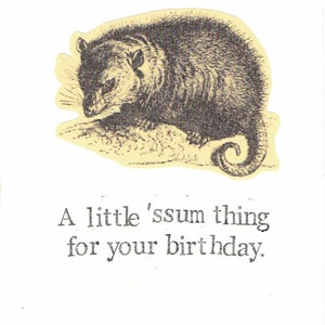 A Little 'Ssum Thing Opossum Birthday Card | Funny Animal Pun Nature Wildlife Humor
