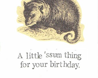 Une petite carte d'anniversaire pour opossum Ssum Thing | Drôle Animaux Jeu de mots Nature Wildlife Humour