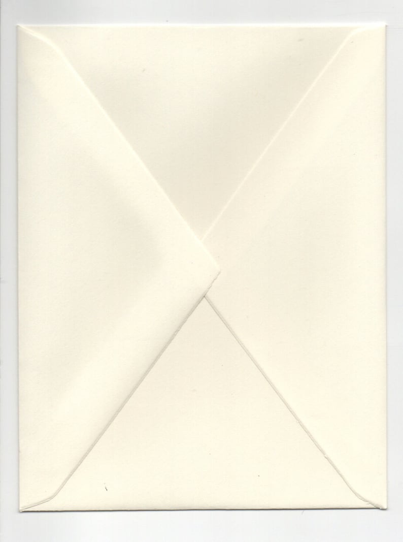 May include: A white envelope with a standard flap.