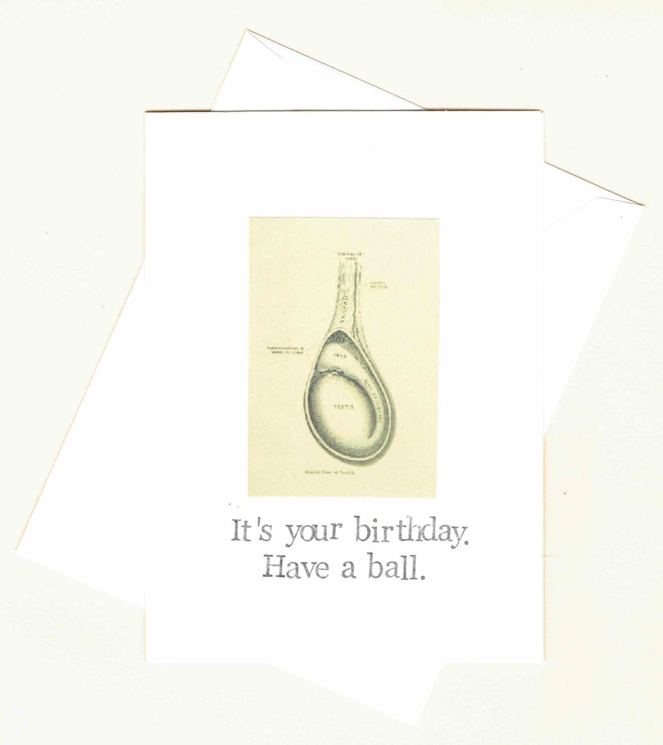 Have A Ball Testicle Birthday Card Funny Anatomy Medical Etsy 